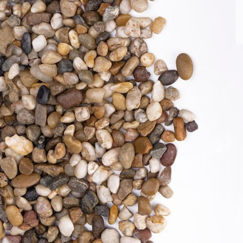 Pulovin Pea Gravel for Plants, 2.5lbs, 1/5 Inch Natural Decorative Pebbles for Fish Tank, Aquarium, Succulent, Terrarium, Cactus, Vase, Matte Texture, Mixed Color