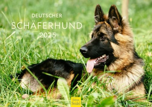 Edition Seidel Premium Kalender Deutscher Schäferhund 2025 Format DIN A4 Wandkalender Hundekalender Hund Welpe Hunderasse Haustier