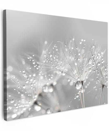 MuchoWow© Leinwandbilder 40x30 cm Wall Art Decoration Bilder für die Wand Schlafzimmer Deko Canvas Painting Wanddekoration Wohnzimmer Pusteblume - Wassertropfen - Stilleben - Modern
