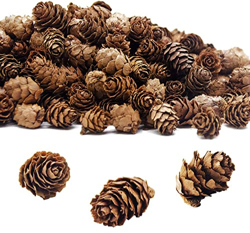 Deloky 400 Stück natürliche Mini-Tannenzapfen, Thanksgiving, Tannenzapfen, Ornamente für Bastelarbeiten, Heimdekorationen, Herbst und Weihnachten, Hochzeitsdekoration