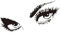 HBYUEHAN Kreative Schönheit Kunst Wimpern Wand Aufkleber Mädchen Augen Augenbraue Vinyl Aufkleber Schönheit Salon Mädchen Gästetoilette Innen Aufkleber