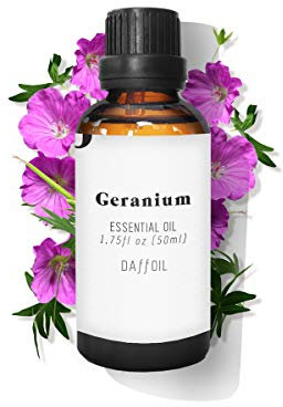 Ätherisches Öl Geranie, 50 ml, reines Bio, 100 % natürlich, umweltfreundlich, Aromatherapie, Luftbefeuchter