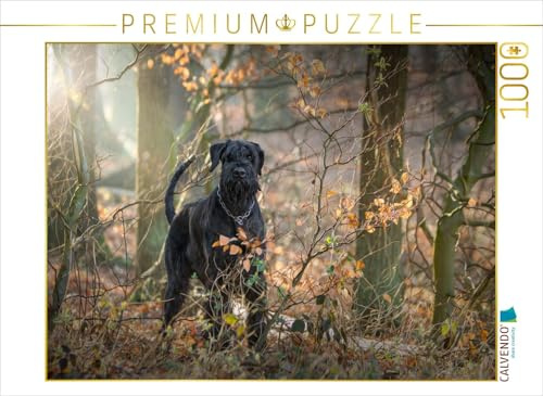 CALVENDO Puzzle Riesenschnauzer... charakterstarke Hunde | 1000 Teile Lege-Größe 64 x 48 cm Foto-Puzzle für glückliche Stunden