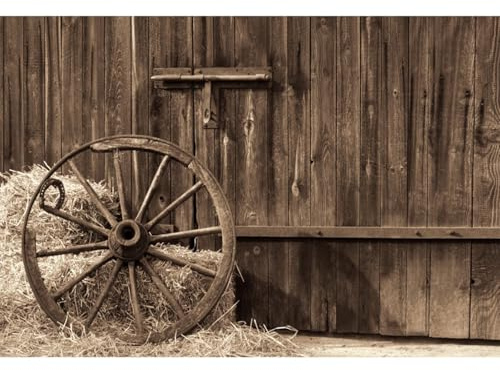 YongFoto 3x2,5m Vinyl Foto Hintergrund Barn Straw Hay Bale Oldtimer Räder Grunge Holz Plank Ric Autumn Interior Fotografie Hintergrund für Fotoshooting Portraitfotos Party Kinder Fotostudio Requisiten