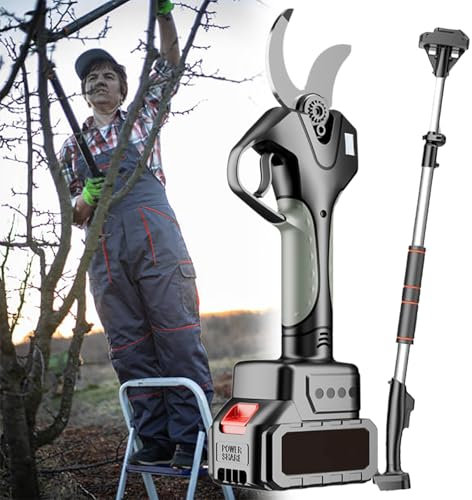 Beachtiful Forbici da Potatura a Batteria 2 in 1, Forbici da Potatura Elettriche con Asta, Potatore a Batteria per Potatura Alberi, Potatore Elettrico da 3