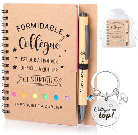 Coffret cadeau pour collègue, cadeau d'adieu pour un collègue qui change de travail, comprend un carnet et un porte-clés, meilleur cadeau de collègue, remerciement pour un départ, (Meilleur collègue)