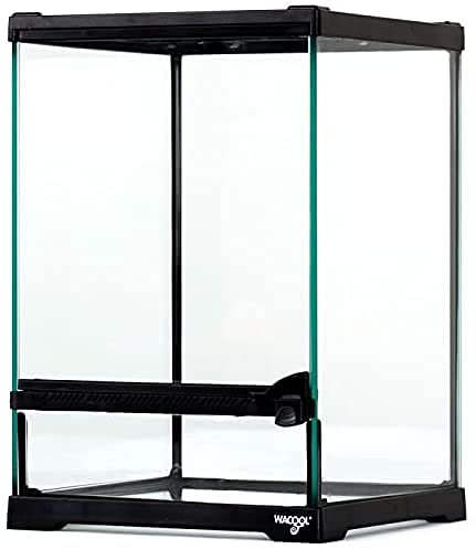 Terrario de cristal para reptiles, anfibios, arácnidos e insectos (21 x 21 x 30 cm)