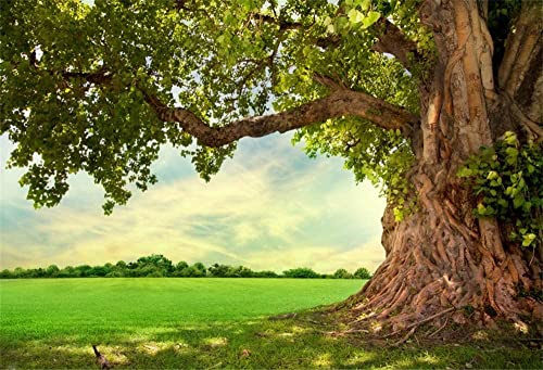 Renaiss 7x5ft Spring Park Meadow Photography Background Spring Old Tree Backdrop Kids Adult Outdoor Picnic Nature Scenery Portrait Shooting Photo Booth Shoot Vinyl Studio Props