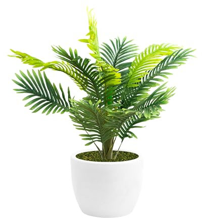 NICOLI VASO HERA MATT CIOTOLA, IN RESINA ROTAZIONALE, PER INTERNO ED ESTERNO, DIAMETRO CM 30-40 -50-60 (Ø cm 30 con Palma 100cm, bianco)