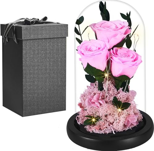 Vera Rosa Eterna in Cupola Vetro, Donna Regalo Compleanno, Rosa Stabilizzata Fiore Bella e la Bestia, San Valentino Anniversario Festa della Regalo per Mamma Moglie Fidanzata Nonna