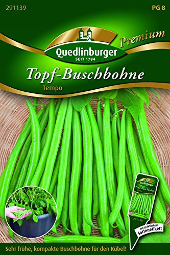 Bohnen Topf-Busch- Tempo - Phaseolus vulgaris L. var. nanus QLB Premium Saatgut Bohnen