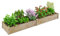 HOMASIS Hochbeet aus Holz, Pflanzkasten aus Tannenholz, Blumenkasten mit offnen Boden, Gartenbeet für Kräuter, Gemüse, Pflanzen, Pflanzenbeet für Garten, Balkon, Terrasse, 240 x 60 x 25 cm, Natur