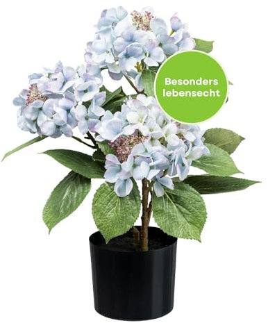 CREATIV green Hortensien Kunstblumen im Topf in hellblau 53cm I künstliche Hortensien mit naturgetreuen Blüten I Pflegeleichte Kunstpflanze im Kunststoff-Topf mit Erde I stilvolle Kunstpflanzen