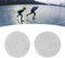 2 Stück Knöchel-Gel-Pad, Skate-Knöchel-Gel-Scheiben-Kissenpolster, Beugt Schmerzen vor, Geeignet für Eiskunstlauf, Eishockey, Rollschuhe, Inline-Skates, Skifahren, Wandern