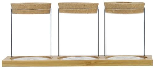 Pflanzen Terrarium Terrarium Kit Anlagen -Propagationsstation 3PCS Wasserpflanze Propagationsgläser mit Tablettdeckel transparent minimalistische Propagationsstationen für Tabletop -Toilettenbalkone