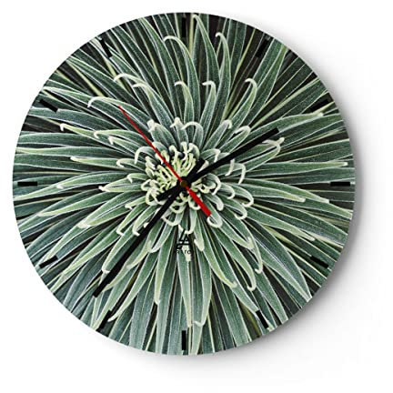 Modern Wanduhr Agave Grün Pflanze 40x40cm Rund Groß Wand Uhr Glas Analog Zimmeruhren Küche Büro Wohnzimmer Glasuhr Wall Clock Dekoration Design Wanddekoration Küchenuhr C3AR40x40-4905