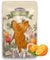 Fairyscents® Kerzensand mit Duft – 450g Kerzenwachs Granulat + 3 Dochte – Kerzensand mit Docht – Orangenmagie DIY Duftkerzen selber Machen