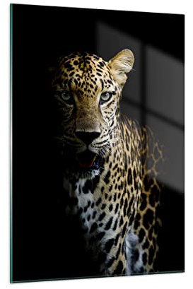 Moderne Impression sur Verre Ombroso Leopardo Pantera Image Tableau en Verre Decoration Murale 50x70cm Deco Salon Chambre Cuisine Vertical Petit Tableaux Decoratifs Muraux Art Wall Decor GPA50x70-4585