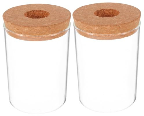 BEBEMOKO 2pièces Vase Verre Transparent pour Plantes De Récipients Hydroponiques Décoratifs pour Bureau pour Succulentes Et Cactus Et Esthétique