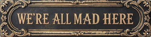Metall-Blechschild mit Aufschrift We Are All Crazy, 10,2 x 40,6 cm, Vintage-Schild für Zuhause, Restaurant, Bar, Café, Garage, Geschenk für Liebhaber, Dekoration