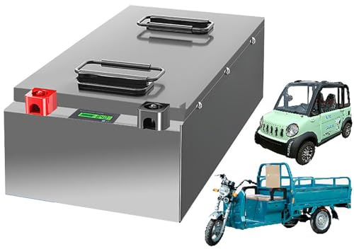 JHKJ Batterie per tricicli da 48V, 60V, 72V, 30Ah, 40Ah, 60Ah, 80Ah, 100Ah al Litio Ferro fosfato per Scooter/Moto/tricicli e Kit Motore per Veicoli elettrici.,48v30ah