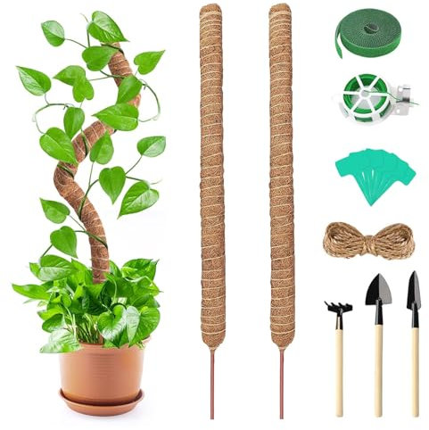 Swavitie Bastoncini per Piante Rampicanti Monstera, 90 cm, 2 Pezzi, Fibra di Cocco e Muschio, Verde