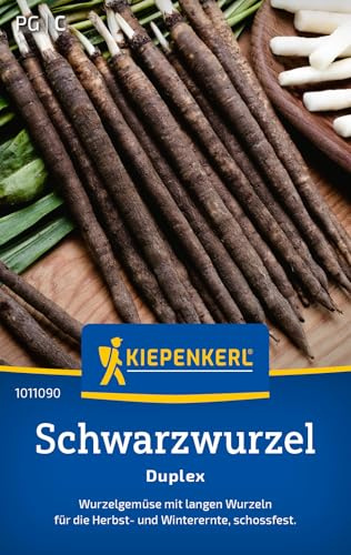 Kiepenkerl Schwarzwurzelsamen Duplex 1011090, Gemüsesaat | Gemüsesamen für ein Wurzelgemüse mit langen Wurzeln, schossfest, aromatisch