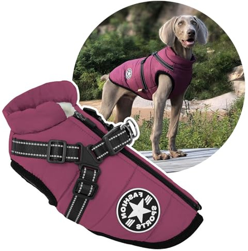 2-in-1 Hunde-Winter-Geschirr, für den Außenbereich, warme große Hundejacke, kaltes Wetter, gepolsterte Hundeweste für große Hunde