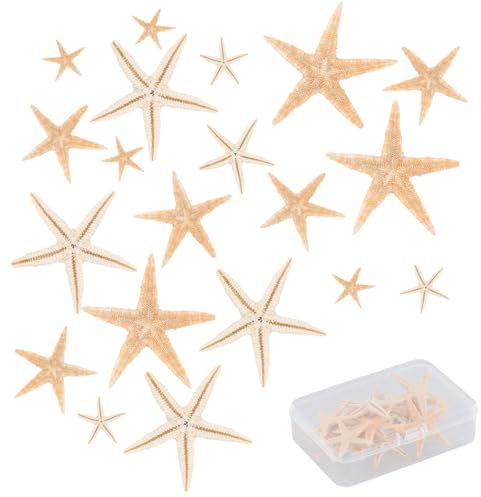 YILANJIN Seestern Deko, Mini Seesterne,20 Stücke 3-5cm Seestern,Seesterne Natürliche Echte Deko für Strand-Themenparty Wohnkultur DIY Handwerk, Hochzeitsdekoration, Heimdekoration und Bastelprojekte