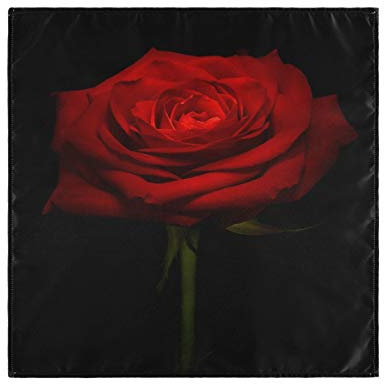 CaTaKu Serviette mit Rosenmotiv, schick, waschbar, wiederverwendbar, für Partys, Zuhause, Küche, Dekoration, 50,8 x 50,8 cm Casual 20 x 20 mehrfarbig