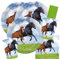 Partystrolche/Spielum Ensemble de 44 Pièces pour Enfants - Décoration et Vaisselle pour Fête d'Anniversaire - Thème Cheval pour Garçons et Filles