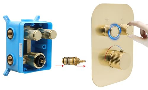 Delnet Upgraded Thermostatic Shower Mixer Valve, Dual Function Brass Shower Valve, Concealed 2 Way Shower Diverter Valve Can Control Flow and On-Off Simultaneously, Brushed Gold