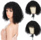 Style Icon Echthaar Perücke Human Hair Wig Bob Wig Afro Wigs Short Curly Wigs for Black Women Wig With Bangs (12 inches, 1B)