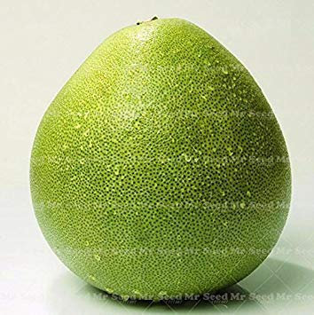 Vistaric 20 STÜCKE Thai Green pomelo samen Grapefruit baum samen obst samen Seltene Organische gesundheit pflanzen für hausgarten pflanzen