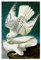 artboxONE Poster 45x30 cm Natur Gerfalke, Falco Rusticolus hochwertiger Design Kunstdruck - Bild malerei ara berühmte