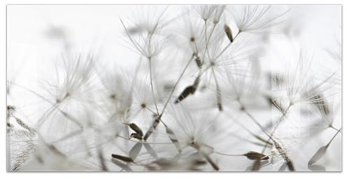 timalo Küchenbild aus Acrylglas modernes Wandbild Glasbild Deko Küche XXL Bild wie Glas | 100x50cm Pusteblume Löwenzahn, schwarz-weiß, filigrane Samen