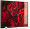 STEINFELD Heizsysteme® Glas Bild Infrarotheizung Paneel Heizung mit Thermostat | Made in Germany | viele Motive 350-1200 Watt Rahmen schwarz (500 Watt, 056 rote Rose)