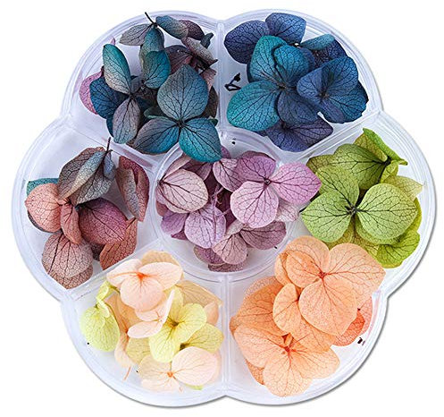 Bodhi2000 1 Box Mini Nagel Getrocknete Blumen 3D Nail Art Aufkleber, Flower Beauty Nagel Aufkleber Für Maniküre Nail Art Schmuck Anhänger Handwerk Dekorationen Stil 1