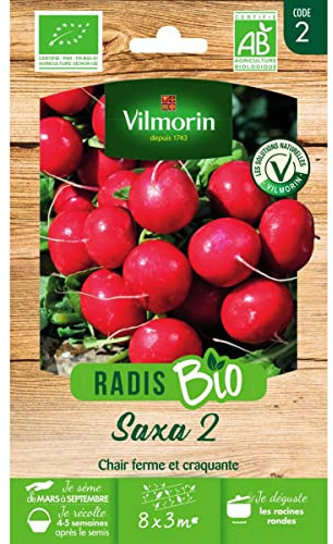 Vilmorin - Sachet graines Radis Saxa 2 BIO - Raphanus sativus