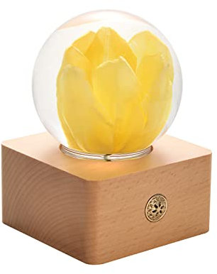 Dr. Pets Miss LI Garden Boule de Cristal de Tulipe Jaune pour Femme, Petite Amie, Femme, Anniversaire, fête des mères, Anniversaire, Saint-Valentin, décoration de la Maison (17e Tulipe Jaune)