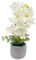 duoyif Orchideen Künstlich Wie Echt, Höhe 28 cm Künstliche Blumen Bonsai Deko, Künstliche Orchideen Im Topf, Kunstblumen Im Topf Für Wohnzimmer Badezimmer Büro Tisch Dekoration (Orchidee weiß c)