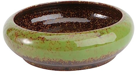 BESPORTBLE Pot De Fleurs Céramique Pot Créatif pour Plantes Récipient De Jardinage Hydroponique