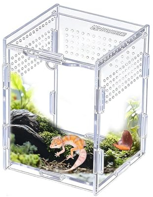 Terrarium pour araignées Enclosure transparente en acrylique | Bac à Lézards Pour petits reptiles, geckos, lézards, serpents, grenouilles, araignées, élevage et alimentation