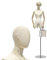 XAoSCd Schaufensterpuppe Mit Kopf Und Rumpf, Weiblicher Halbkörper-Männchen-Display-Modellständer Für Fotografen-Boutique-Shop, Kleidungsmoden Mit Armen Und Sockel (Silberne Runde Basis)
