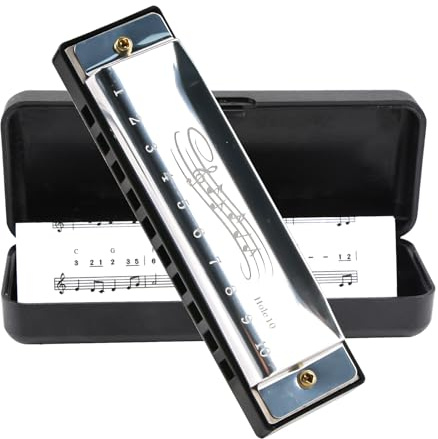 Blues Harmonica in C, Diatonic 10 Holes 20 Tones Mouth Organ Key of C Stainless Steel Mini Blues Harmonica for Kids Adults Beginners and Performers (Silver)