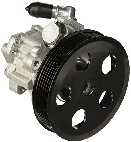 ESEN SKV Hydraulikpumpe, Lenkung 10SKV022 | Kompatibel mit: AUDI A4 B6, A4 B6 Avant, A4 B6 Cabriolet, A4 B7, A4 B7 Avant