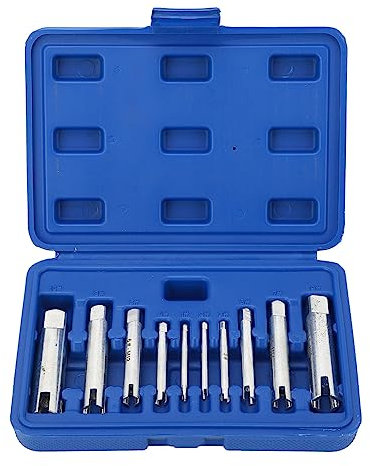 Kit D'extracteurs de Vis 10 Pièces, Ensemble D'extracteurs de Tarauds à Tête Cassée avec Boîte pour M4, M5, M6, M8, M10, M12, M14, M16, M20, M22