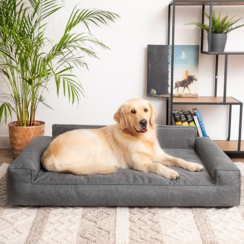 PillowPrim Hundebett, Haustiermatratze, Katzenbett, Hundekissen, Hundekorb, Hundesofa, Liegeplatz für Hund, Orthopädische, Asche, 55 cm, Anthrazite, 116x78 cm