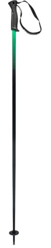 HEAD Unisex-Adult Frontside Black Green Skistöcke, Schwarz/Grün, 125