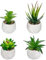 ManyuGas Artificial Plant Indoor in White Ceramic Pots, Small Fake Plant Artificial Succulent For Window Office Balcony Bathroom Decoration